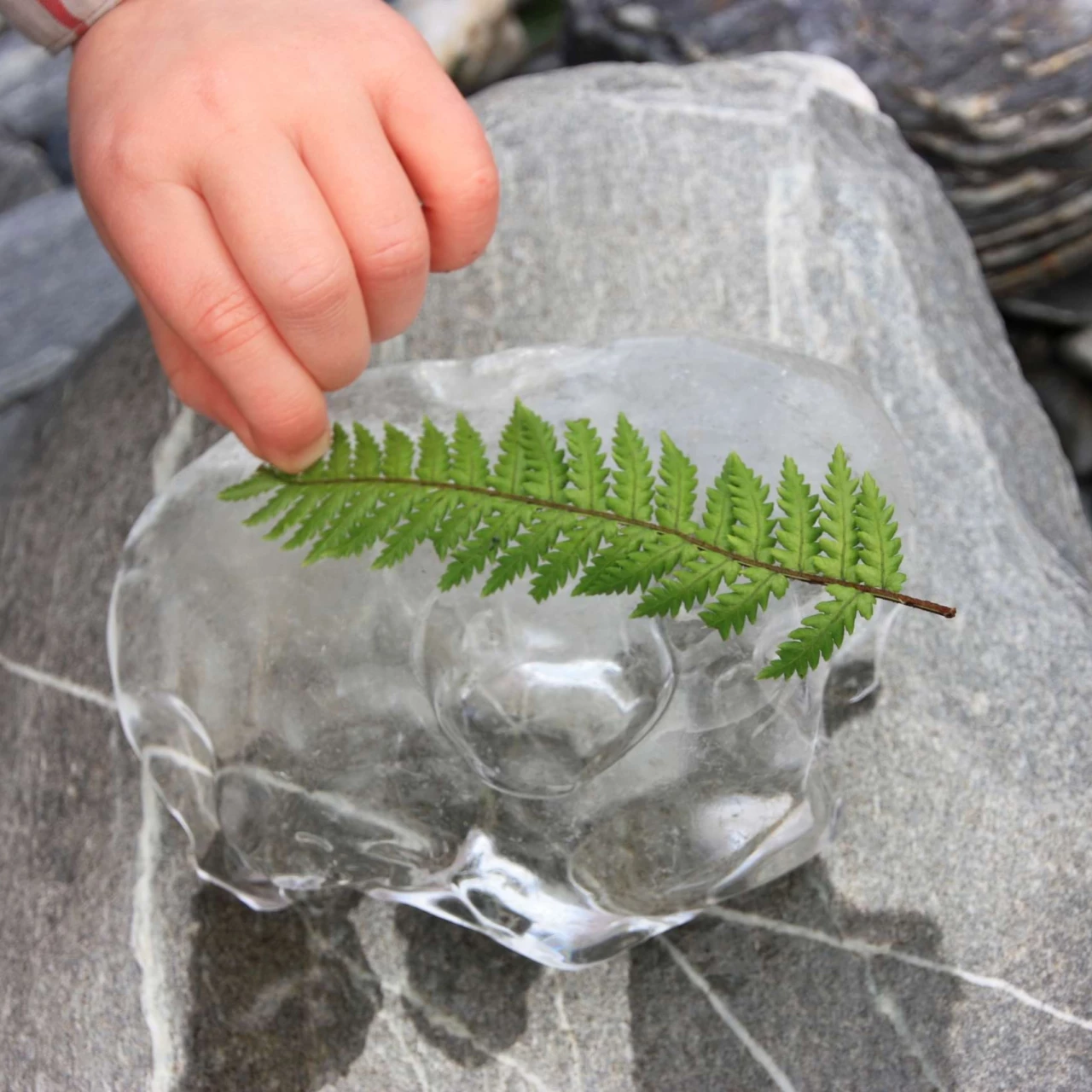 Symbolbild für den Fachbereich Natur, Mensch und Gesellschaft.